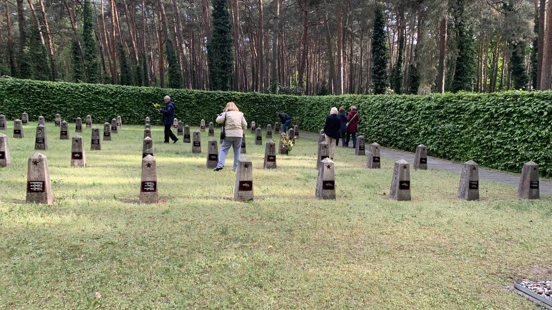 Das Foto zeigt das sowjetische Gräberfeld auf dem Luckenwalder Waldfriedhof.