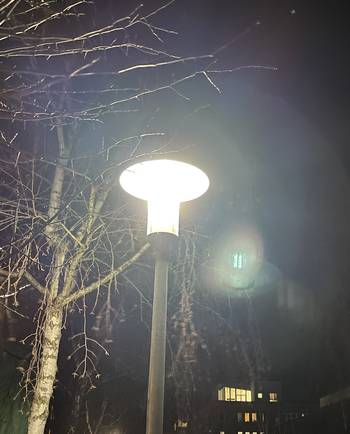 Das Foto zeigt eine leuchtende Straßenlaterne bei Nacht.